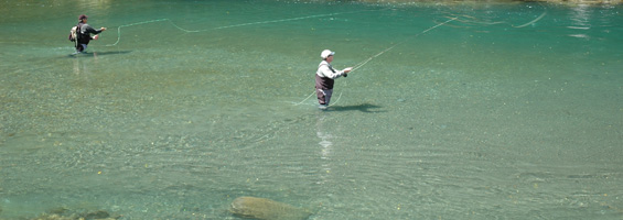 Autumn fishing at its best, Migratory runs start on the Lake Taupo tributaries